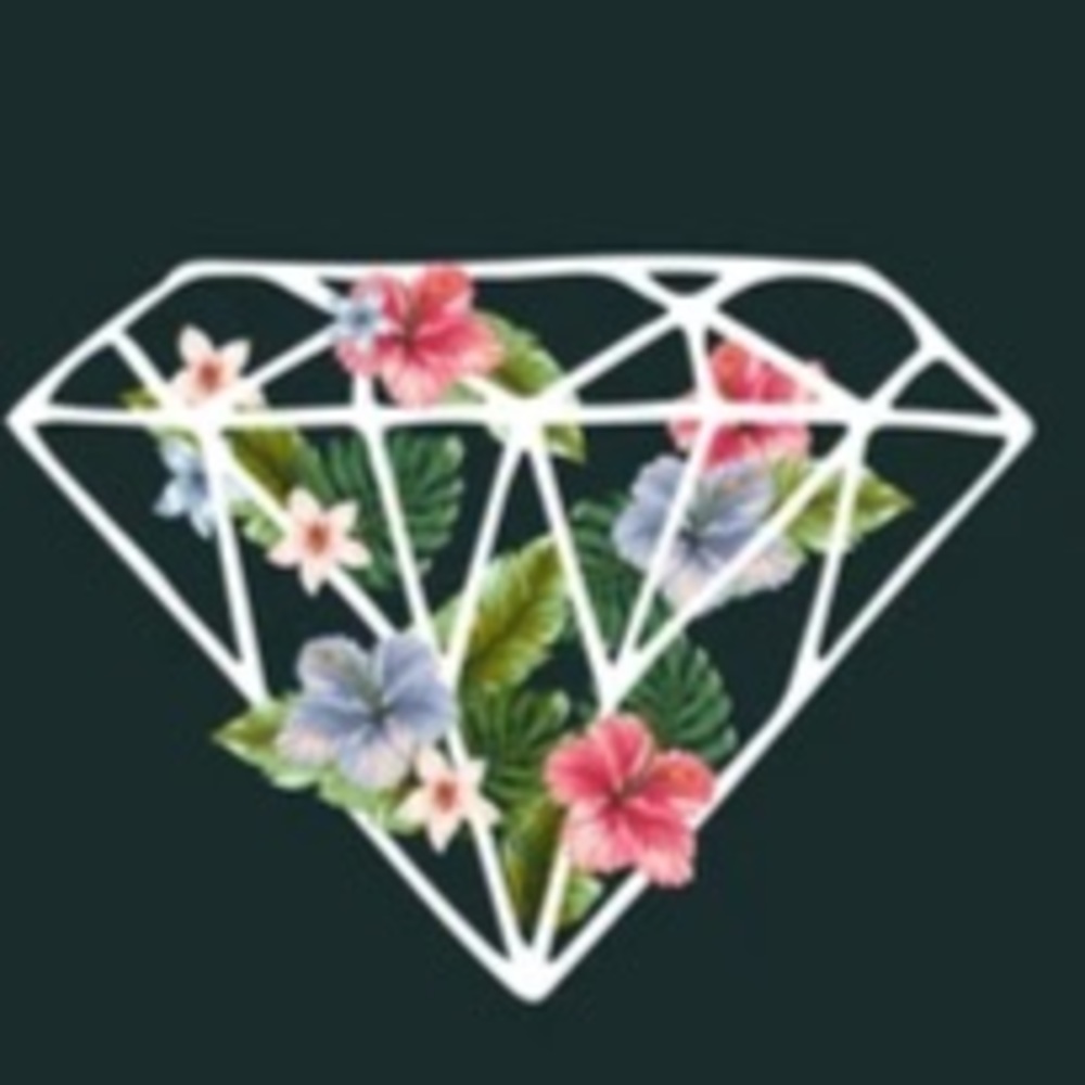 Meet your Posher, Diamond